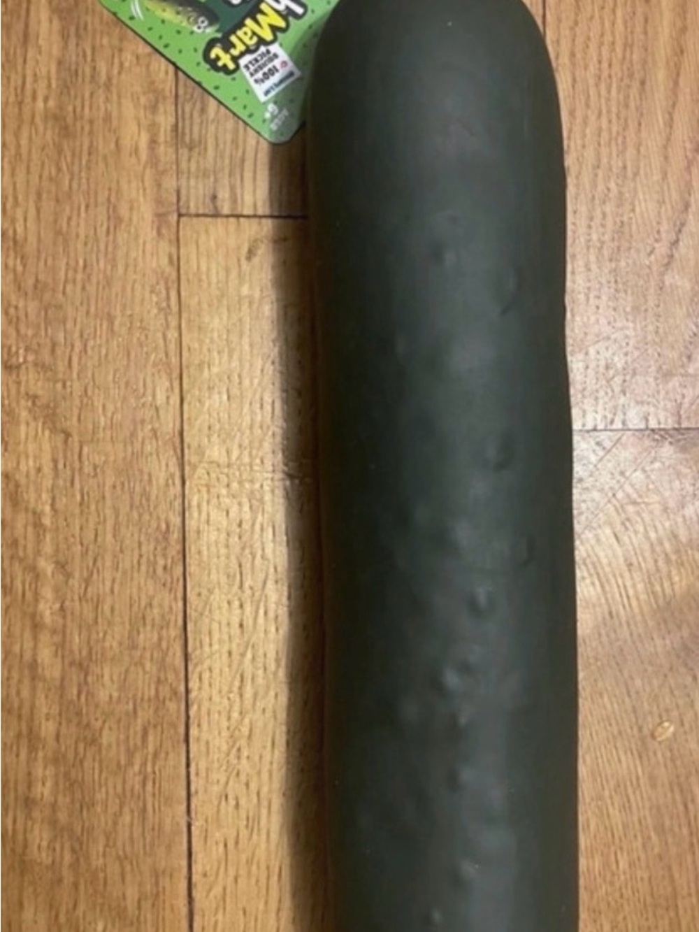 Rms giant squishy pickle